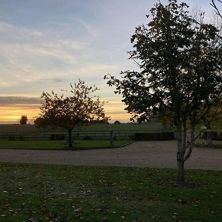 The Oaks, Luxury 2 Bedroom Cottage In A Peaceful Location Haughley Eksteriør billede